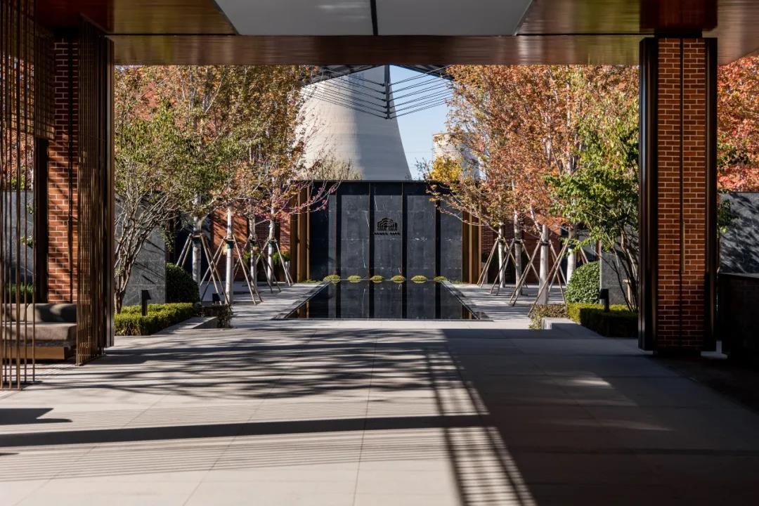 1641785300654609.jpg 666.jpg