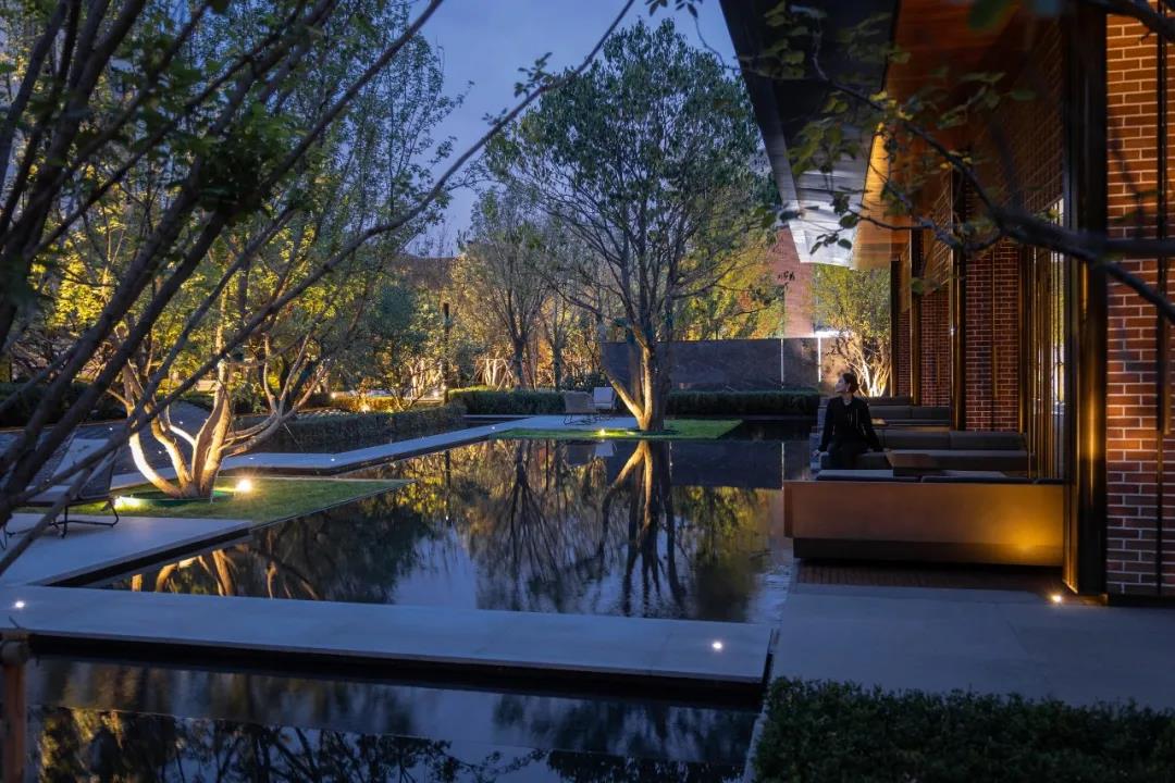 1641785509980293.jpg 999.jpg