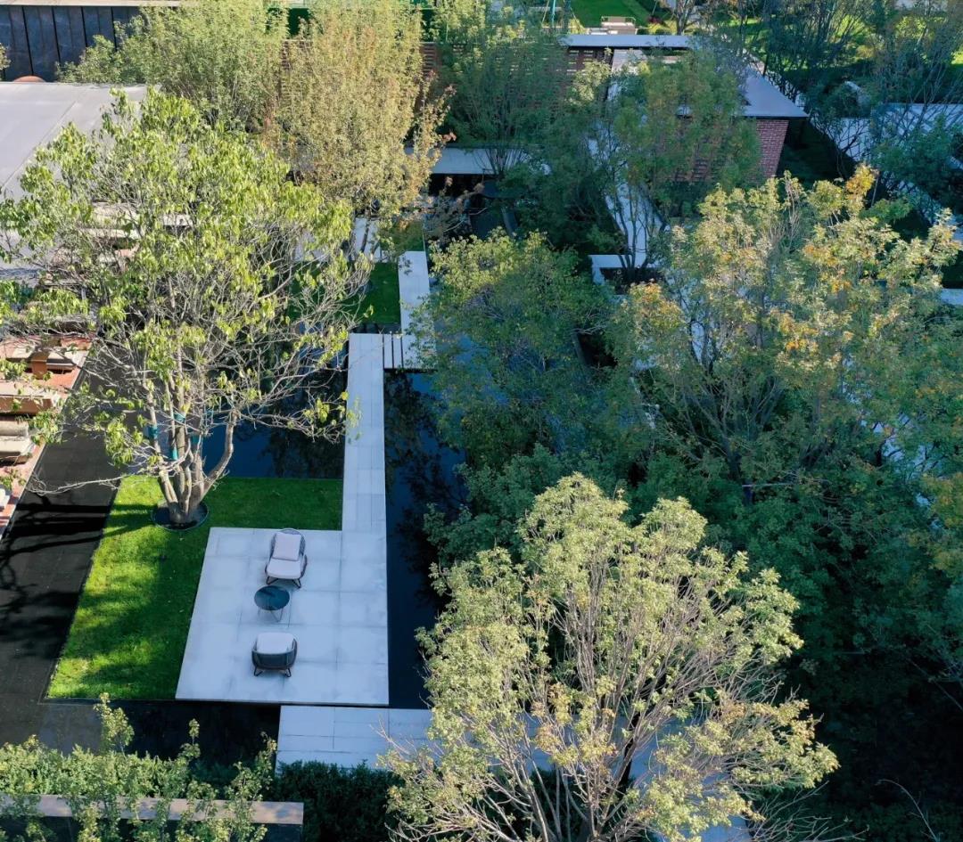 1641785523155029.jpg 000.jpg