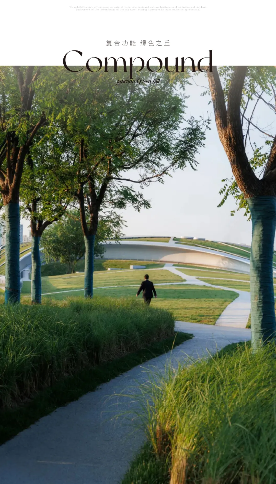 1734419734811600.jpg 1734419668411.jpg