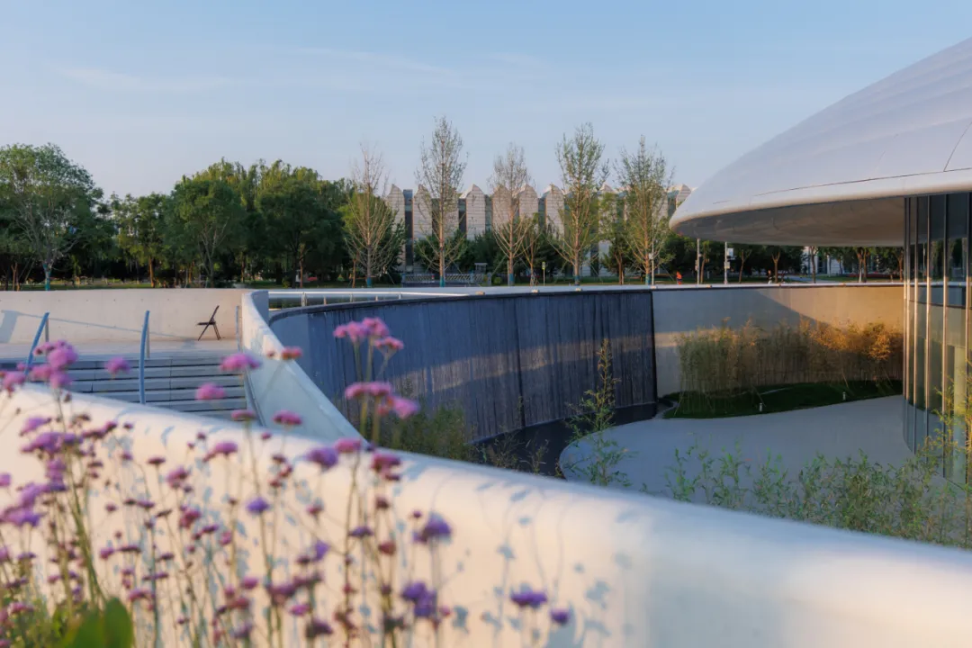 1734419938161613.jpg 1734419803637.jpg