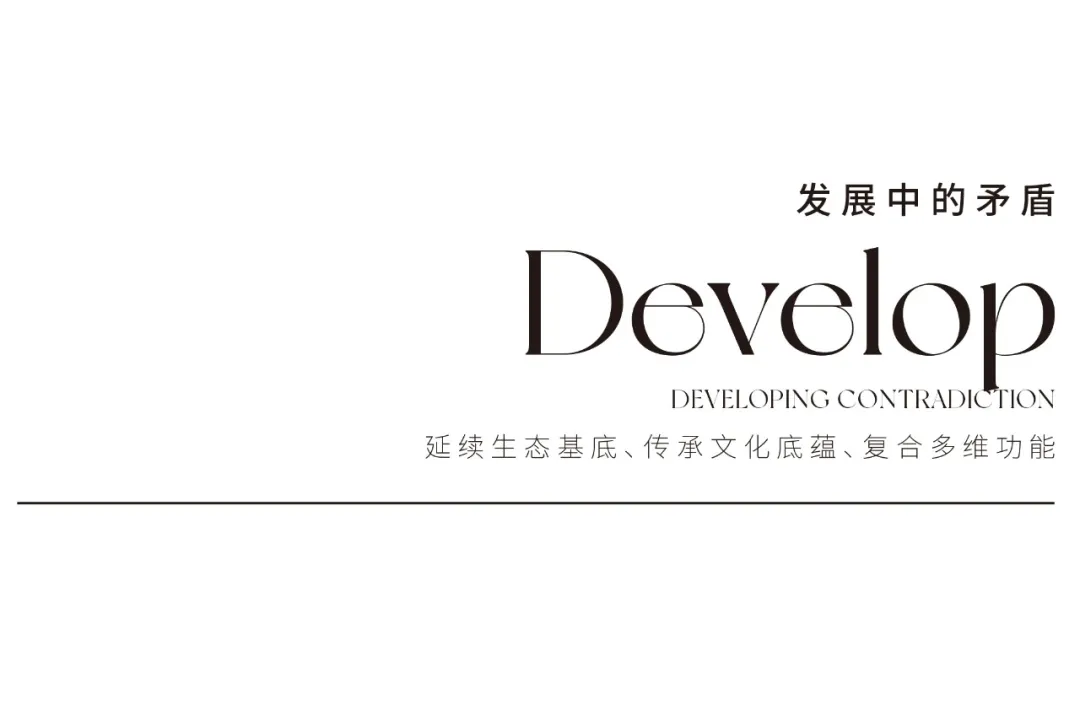 1734419967148565.jpg 1734419960863.jpg