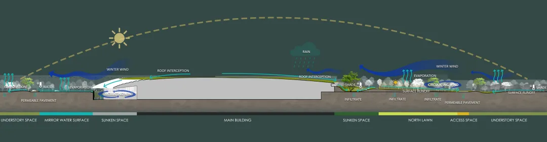 1734419985881837.jpg 1734419817944.jpg