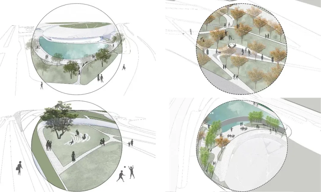 1734419988168011.jpg 1734419825569.jpg