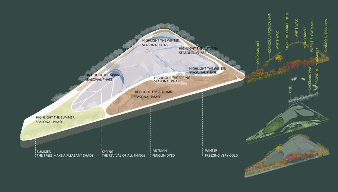 1734420056120599.jpg 1734419836764.jpg