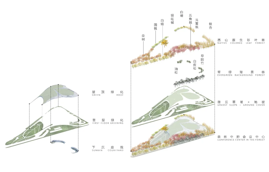 1734420176128788.jpg 1734420124489.jpg