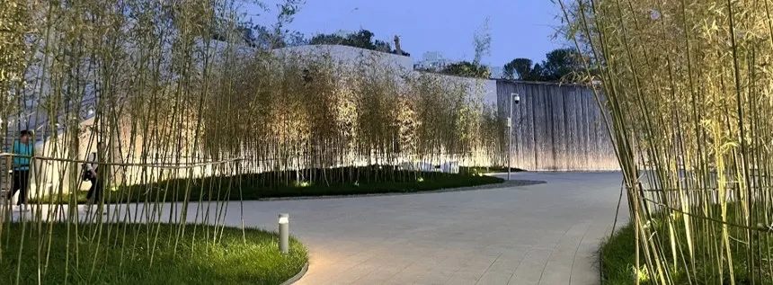 1734420201171387.jpg 1734420148842.jpg