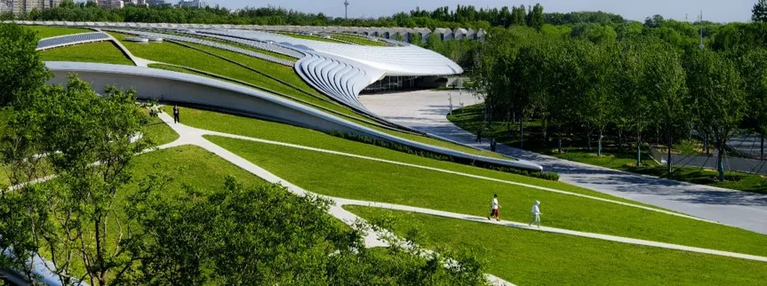 1734420211221698.jpg 1734420157628.jpg