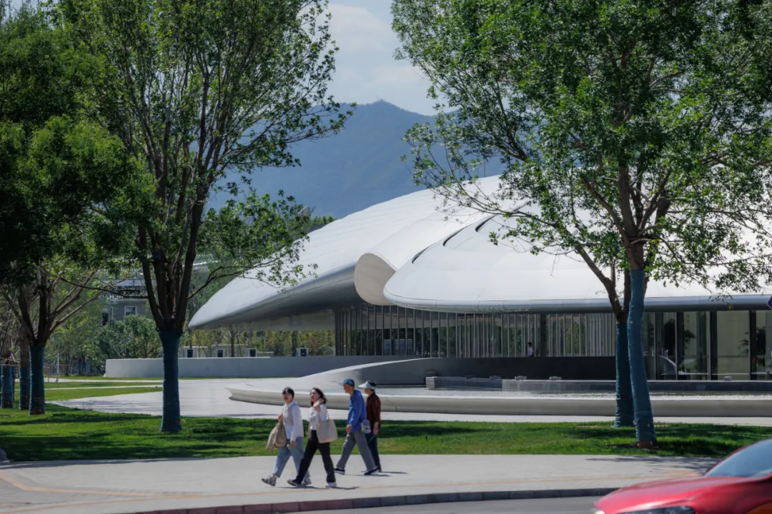 1734420357111477.jpg 1734420310937.jpg