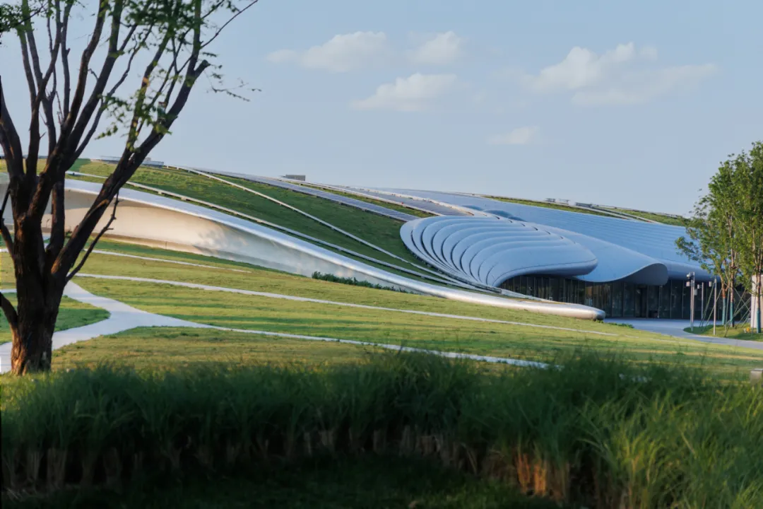 1734420383273976.jpg 1734420313268.jpg