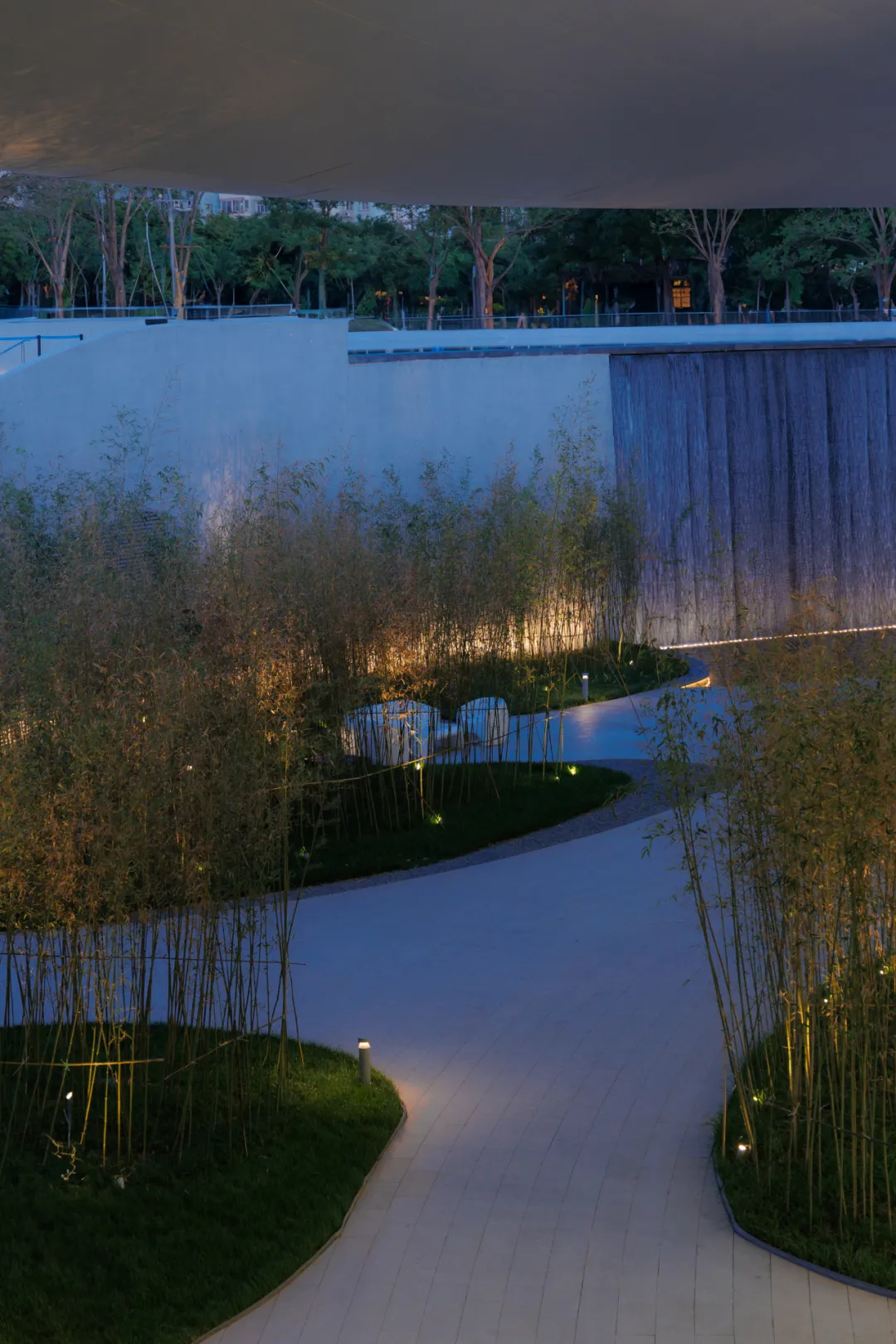 1734420527173159.jpg 1734420478968.jpg