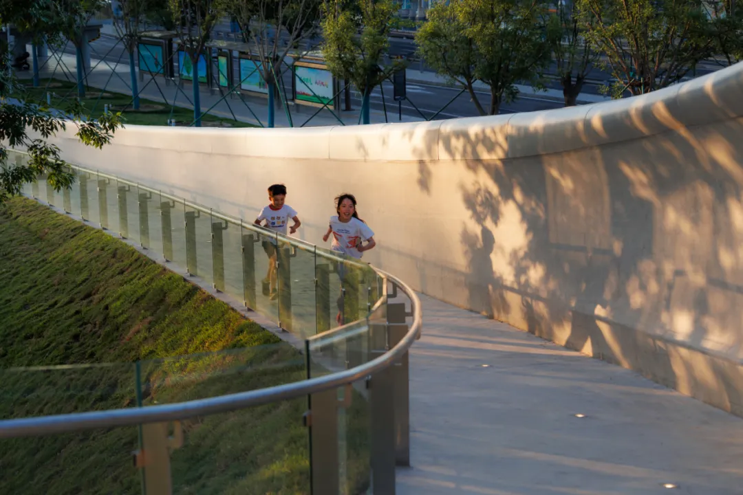 1734420556116068.jpg 1734420503604.jpg