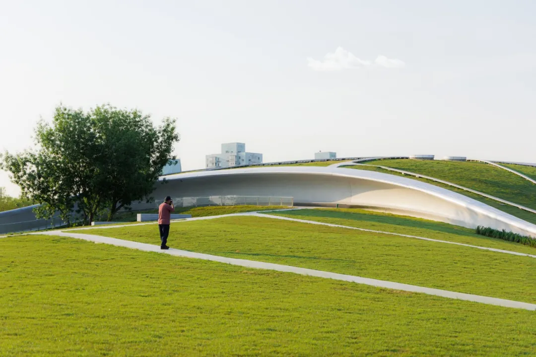 1734420635536067.jpg 1734420587960.jpg