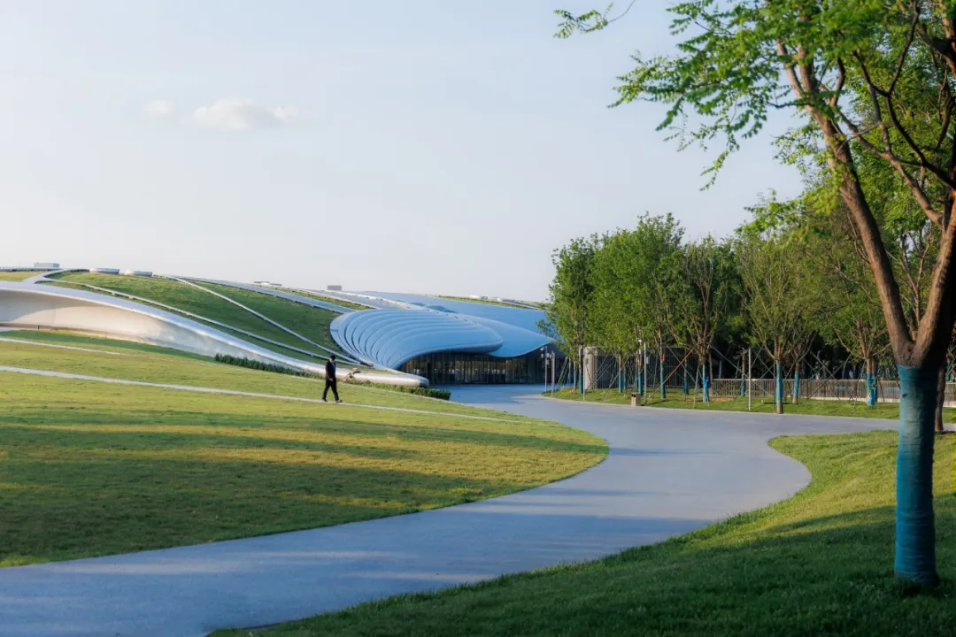 1734420640879423.jpg 1734420592471.jpg