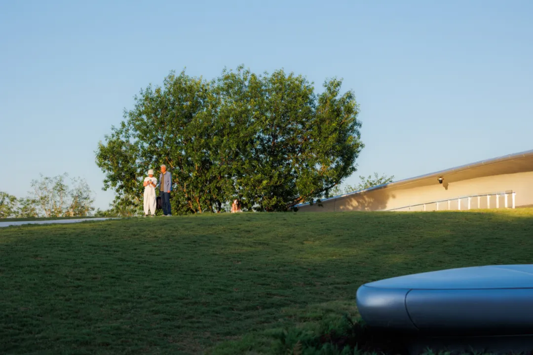 1734420644183538.jpg 1734420595412.jpg