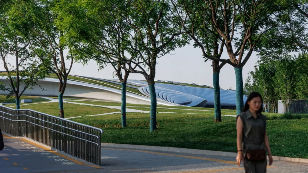 1734420663369170.jpg 1734420612935.jpg