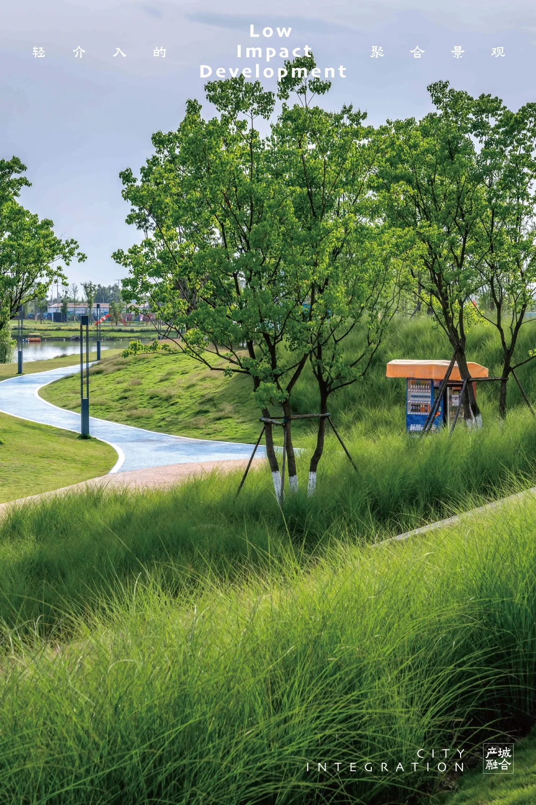 1734600173212220.jpg 1734600150259.jpg