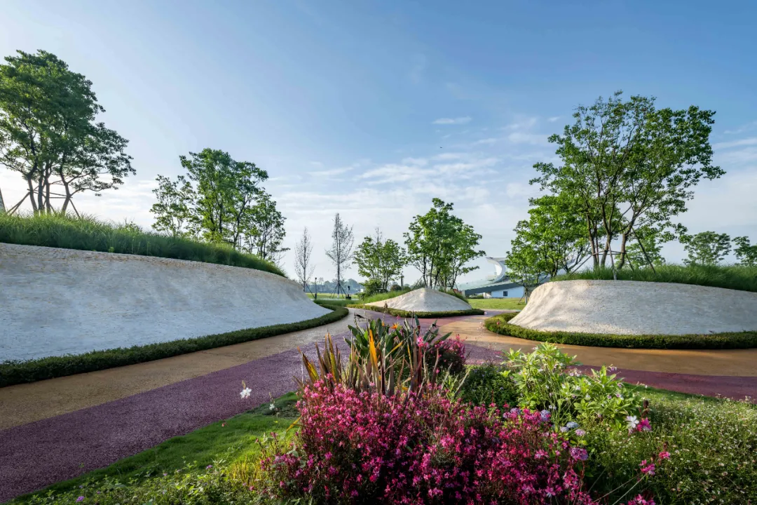 1734600355157942.jpg 1734600250626.jpg