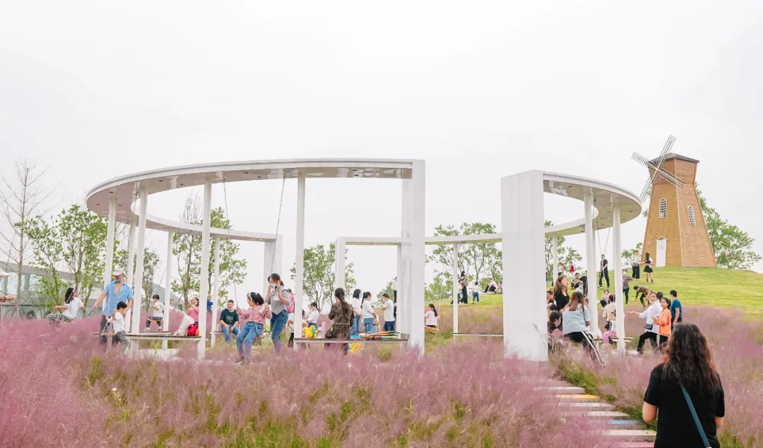 1734602732879852.jpg 1734600417250.jpg