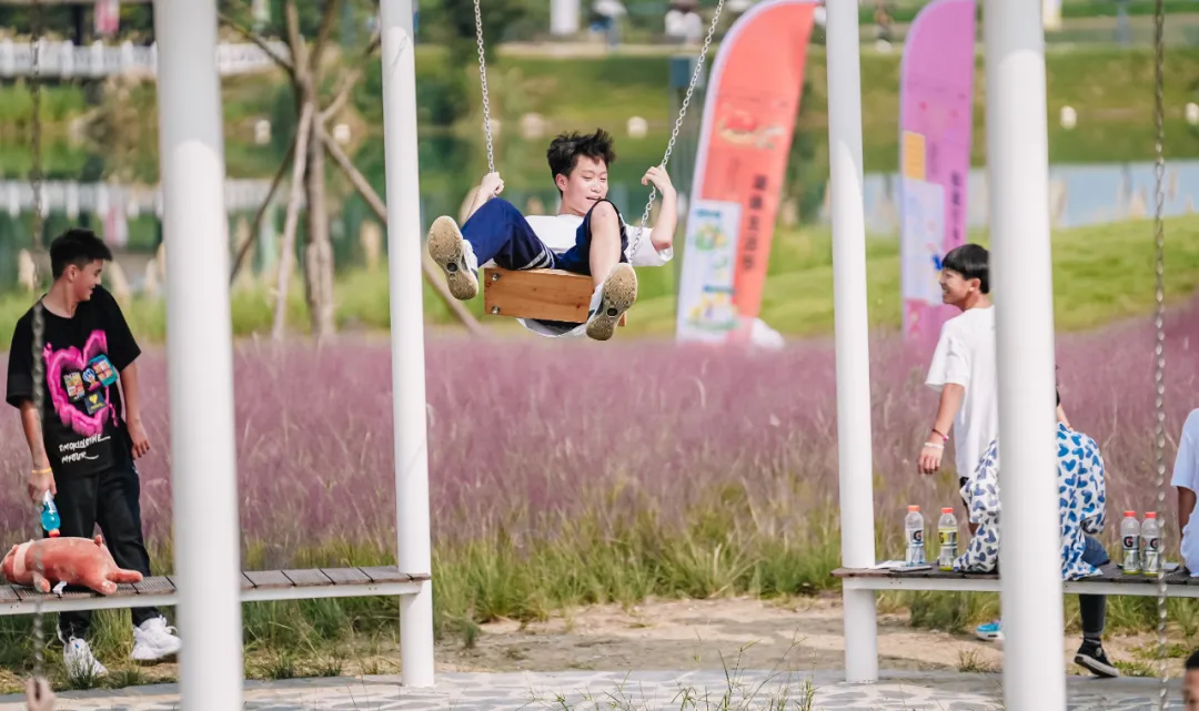 1734602738149149.jpg 1734600419633.jpg