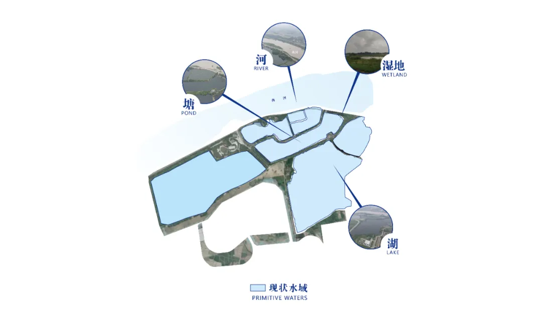 1734602821151100.jpg 1734602762755.jpg