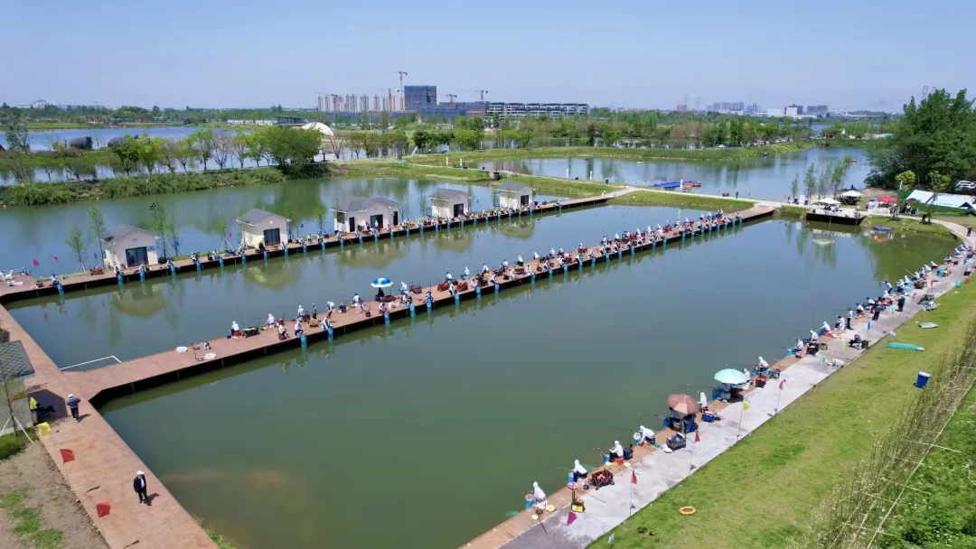 1734602911170144.jpg 1734602784313.jpg