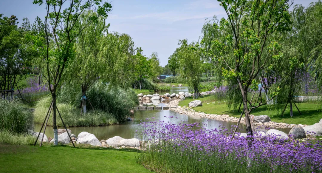 1734602972694690.jpg 1734602926886.jpg