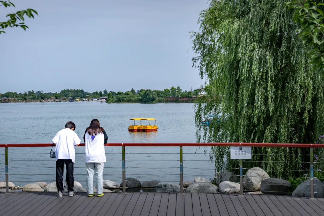 1734602992180599.jpg 1734602936500.jpg