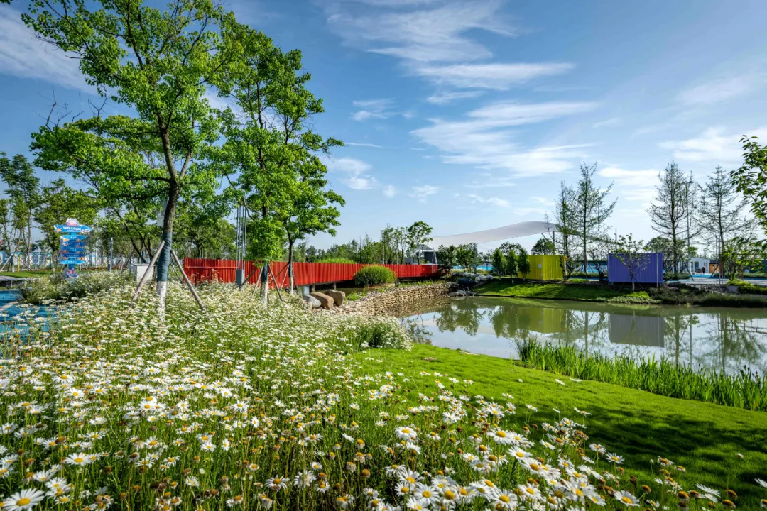 1734603006125759.jpg 1734602941176.jpg