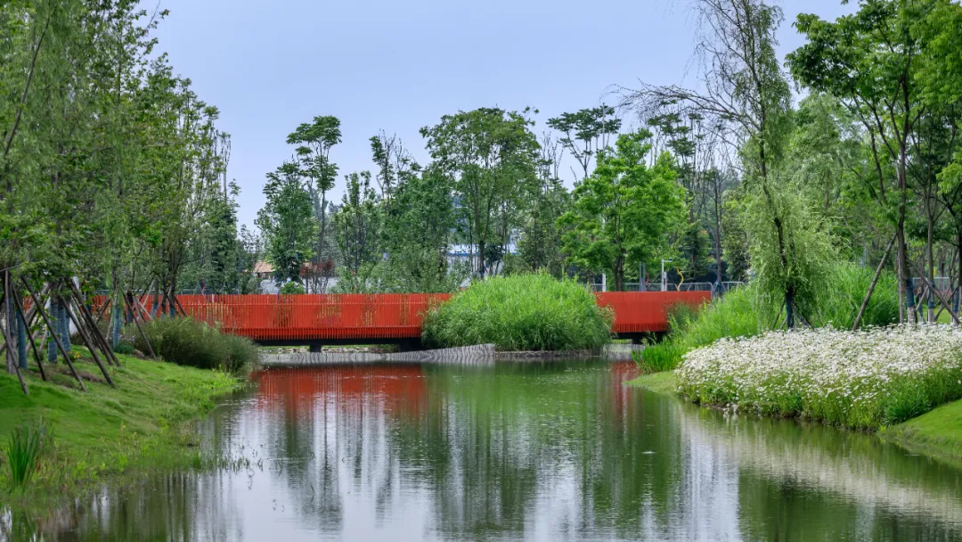 1734603012189599.jpg 1734602943630.jpg