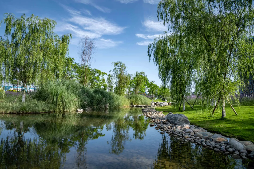 1734603033148152.jpg 1734602951450.jpg