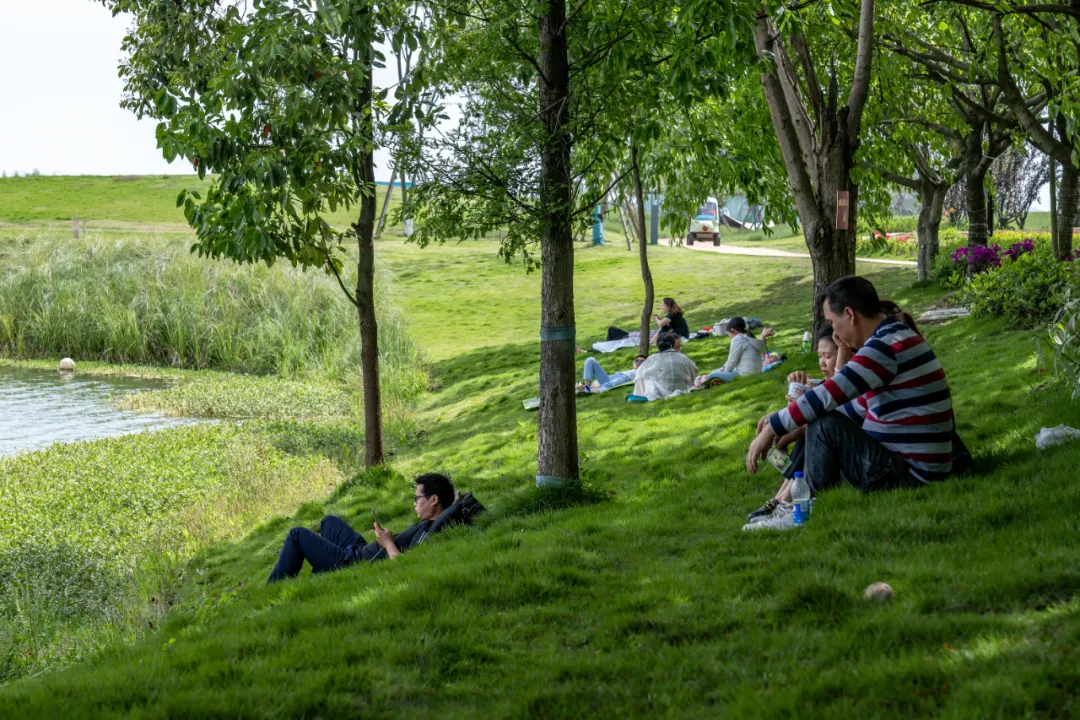 1734603061183790.jpg 1734602959697.jpg