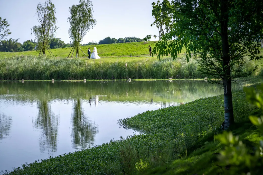 1734603113188763.jpg 1734603066847.jpg