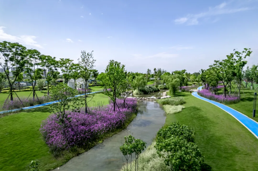 1734603381252174.jpg 1734603250871.jpg