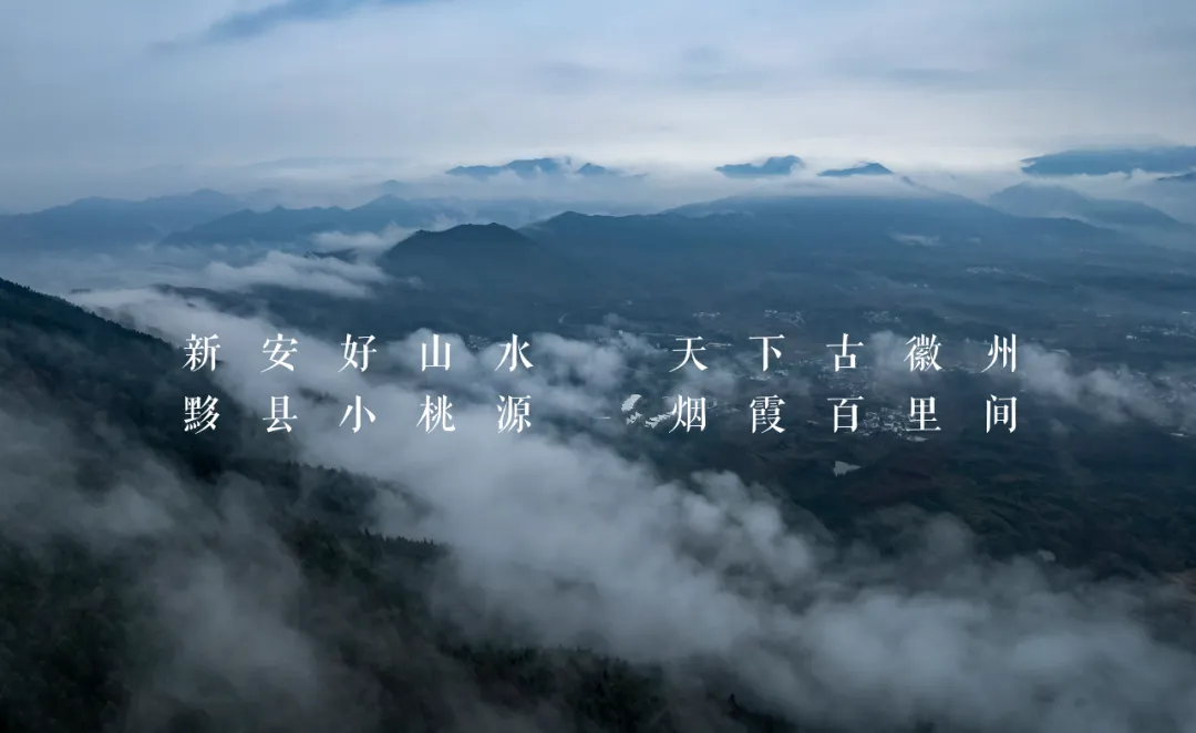 1734662917116314.jpg 1734662823345.jpg