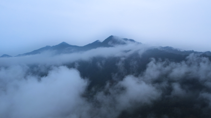 1734662955923608.jpg 1734662873657.jpg