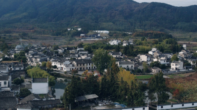 1734662959997325.jpg 1734662883273.jpg