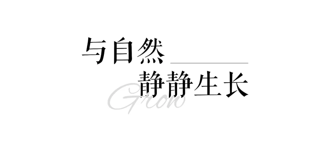 1734662963545341.jpg 1734662895854.jpg