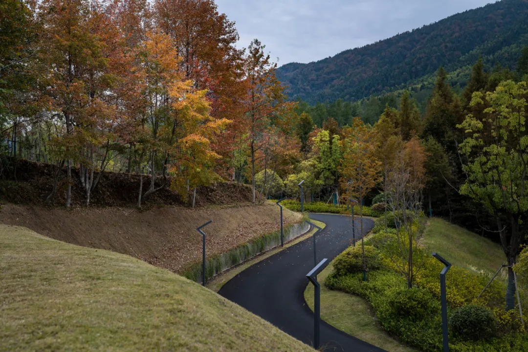 1734663013184432.jpg 1734662975243.jpg