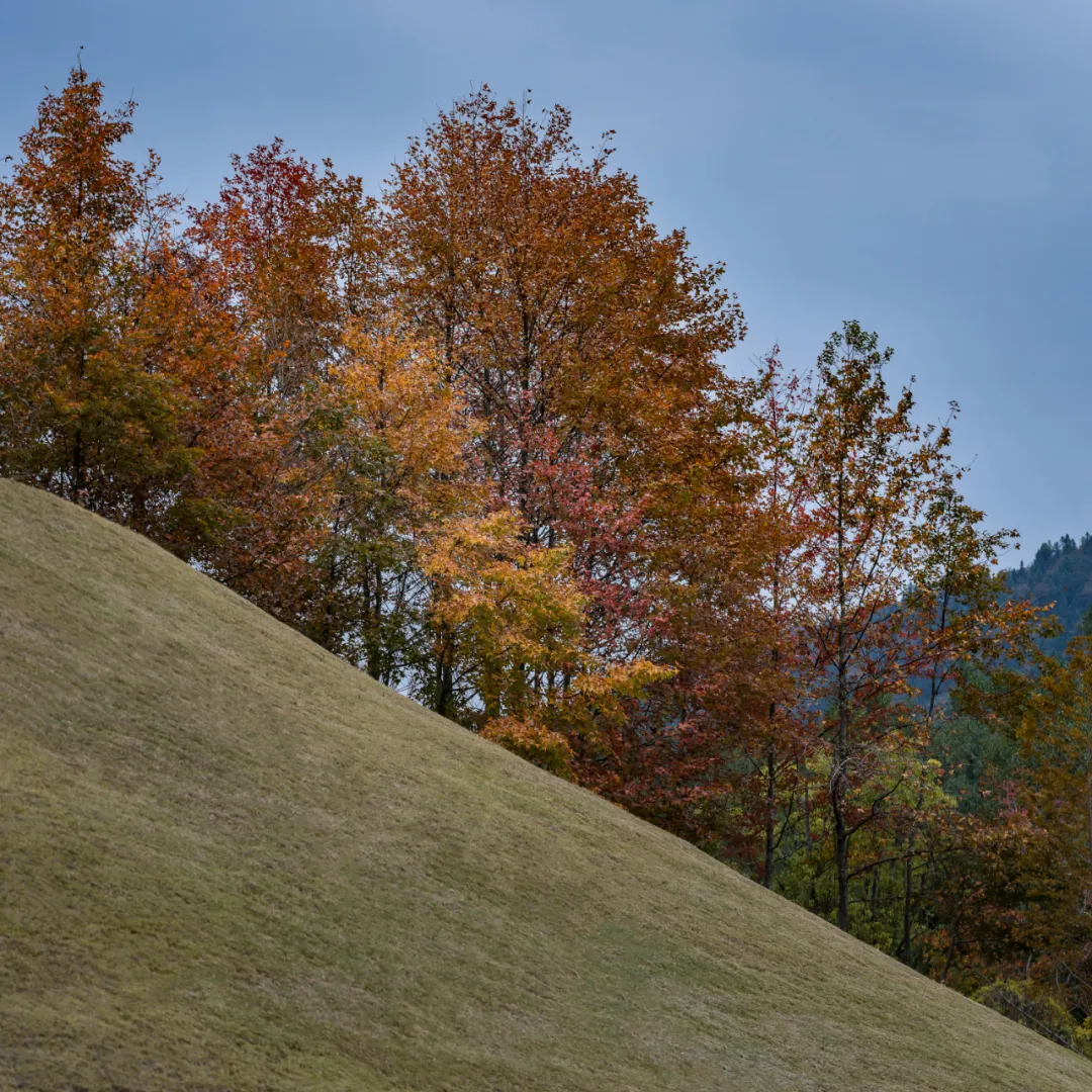 1734663018441859.jpg 1734662977836.jpg