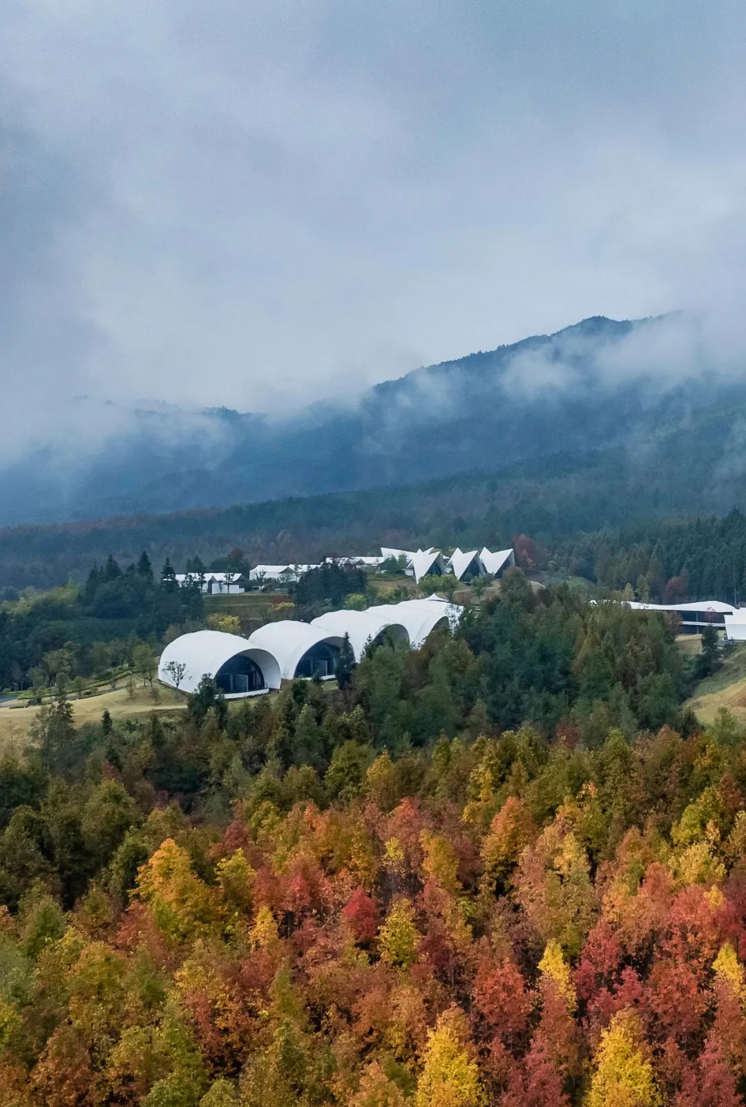 1734663030335062.jpg 1734662987841.jpg