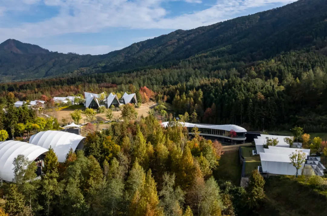 1734663038182389.jpg 1734662992245.jpg