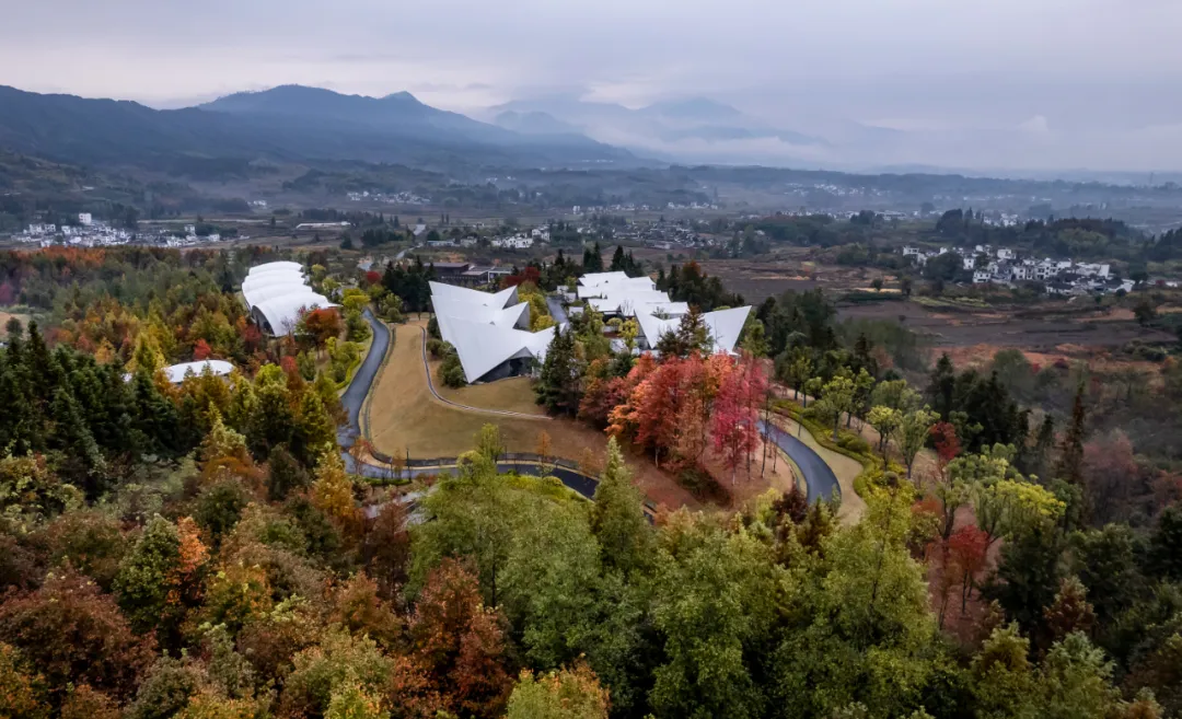 1734663046336482.jpg 1734662994698.jpg