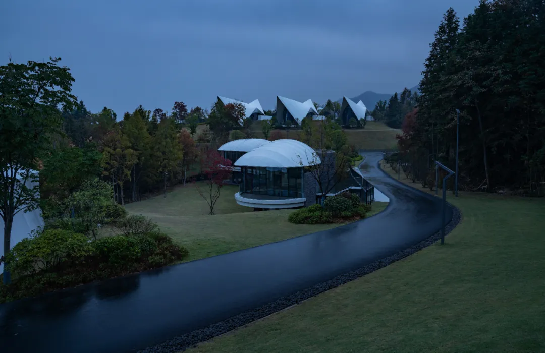 1734663052115845.jpg 1734662998267.jpg