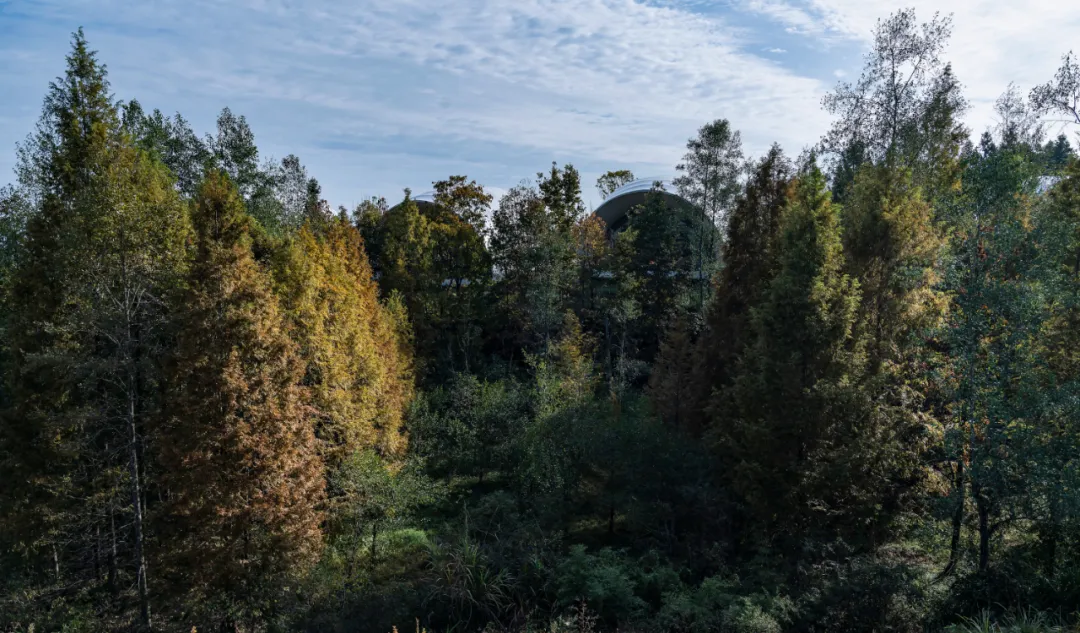 1734663096713373.jpg 1734663061859.jpg