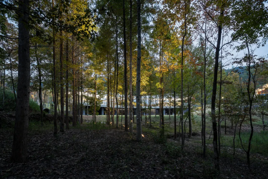 1734663100211693.jpg 1734663066229.jpg