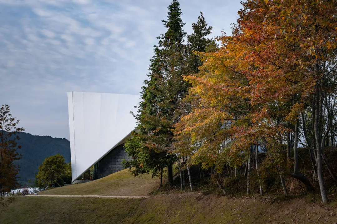 1734663105190852.jpg 1734663068469.jpg