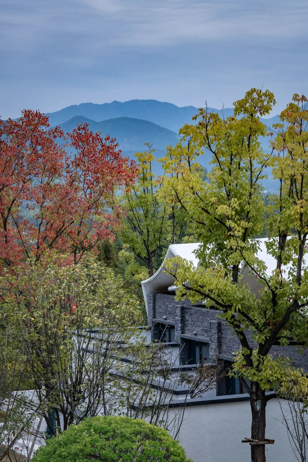 1734663110197342.jpg 1734663073299.jpg