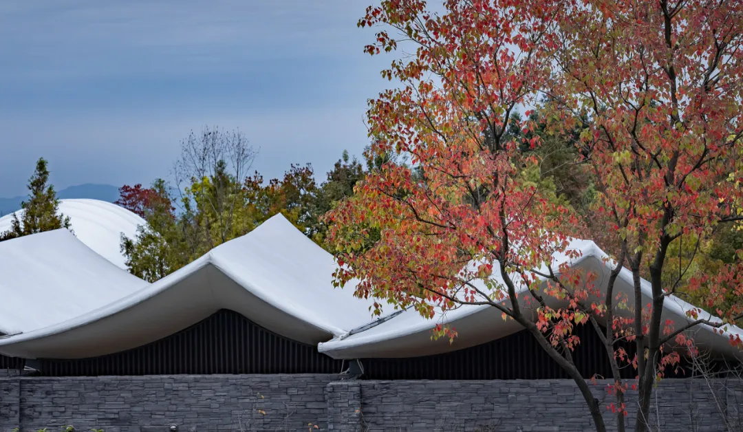 1734663119179561.jpg 1734663076059.jpg