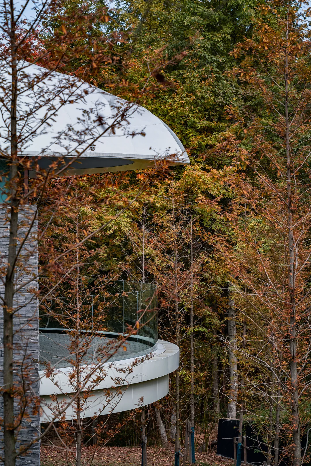 1734663126184372.jpg 1734663078984.jpg